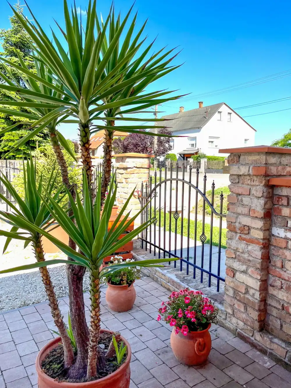 Tolna megye - Németkér