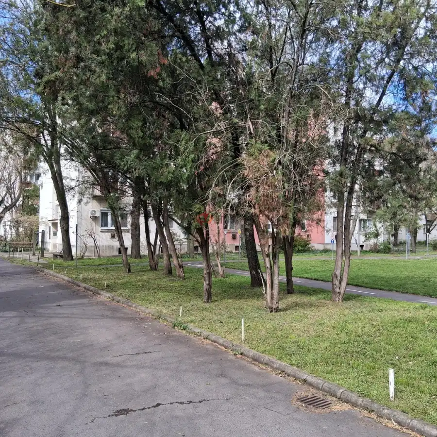 Albérlet, kiadó téglalakás, Békéscsaba