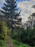 Budapest, I. kerület - Gellérthegy