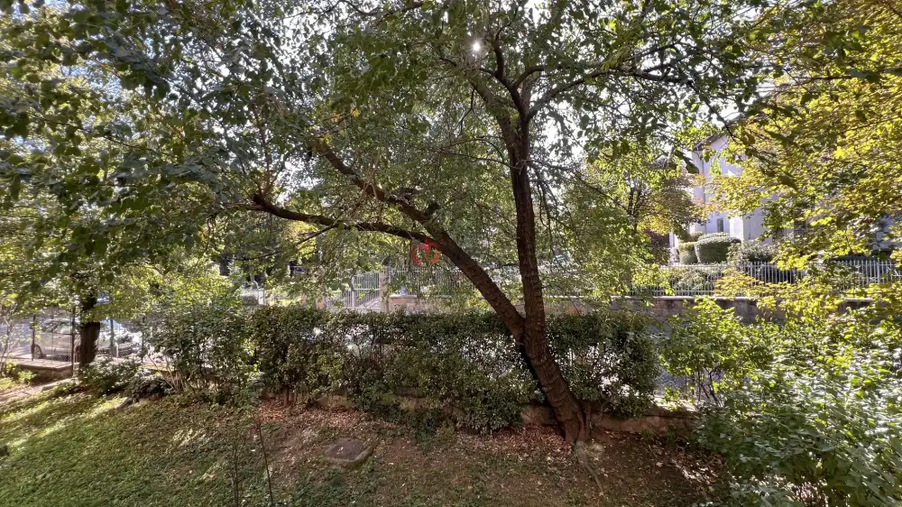Budapest, I. kerület - Naphegy