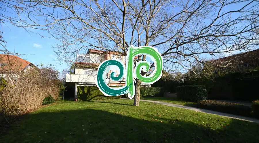 Albérlet, kiadó téglalakás, Budapest, II. kerület