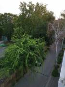 Csongrád megye - Szeged