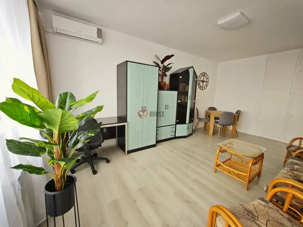 Csongrád megye - Szeged