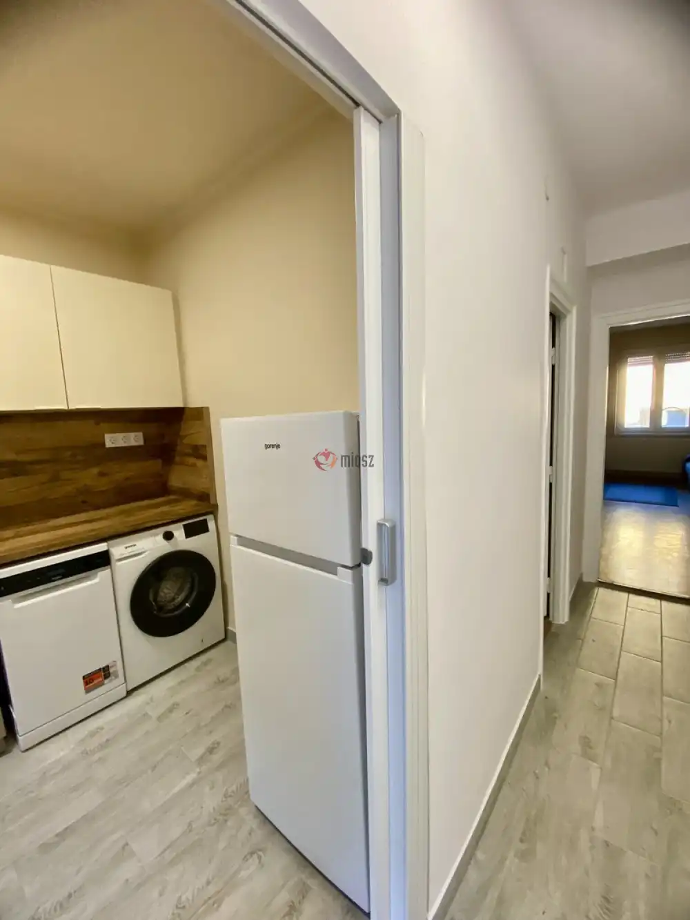 Csongrád megye - Szeged