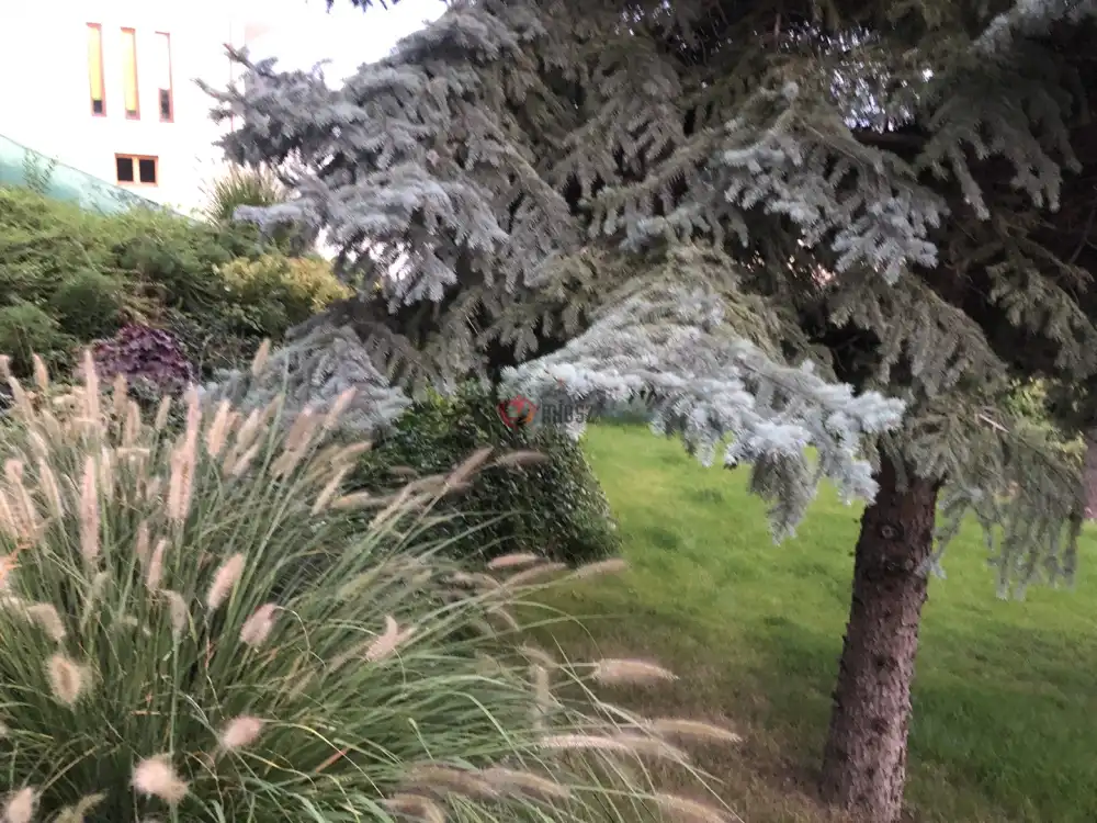 Pest megye - Budaörs