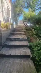 Pest megye - Dunaharaszti