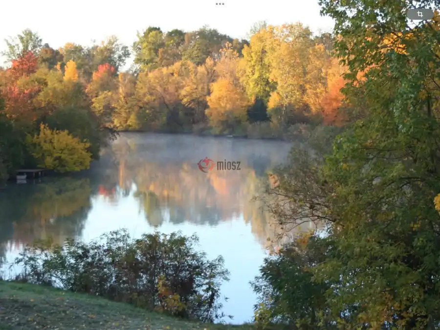 kiadó nyaraló, Gyomaendrőd