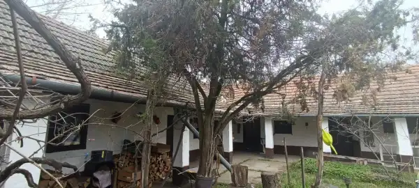 Kiadó tanya, Kunszentmiklós 6 szoba 150 m² 280 E Ft/hó