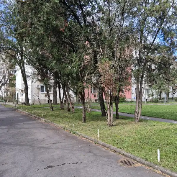 Kiadó tégla lakás, Békéscsaba 1 szoba 39 m² 80 E Ft/hó