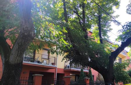 kiadó tégla lakás, Budapest, XIV. kerület