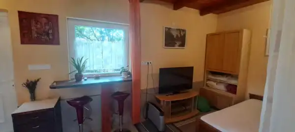 Kiadó újszerű tégla lakás, Nagykozár 1 szoba 25 m² 110 E Ft/hó